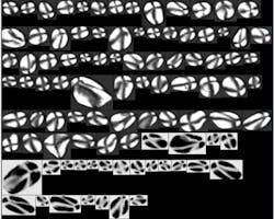 Instrument images birefringent particles Instrument images birefringent particles