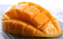 Vision software grades mangoes
