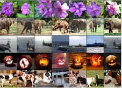 Google buys into neural nets Google buys into neural nets