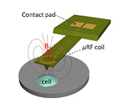 Imaging technologies married at Purdue Imaging technologies married at Purdue