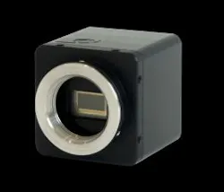 Content Dam Vsd Online Articles 2013 05 Cygnet Hr Black Content Dam Vsd Online Articles 2013 05 Cygnet Hr Black