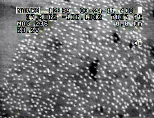 Content Dam Vsd Online Articles 2013 05 Drones