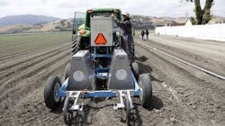 Content Dam Vsd Online Articles 2013 07 Lettuce Bot Content Dam Vsd Online Articles 2013 07 Lettuce Bot