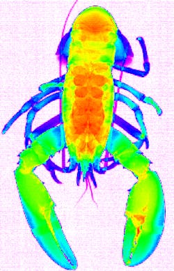 Content Dam Vsd Online Articles 2013 07 Wp4e417228 Content Dam Vsd Online Articles 2013 07 Wp4e417228