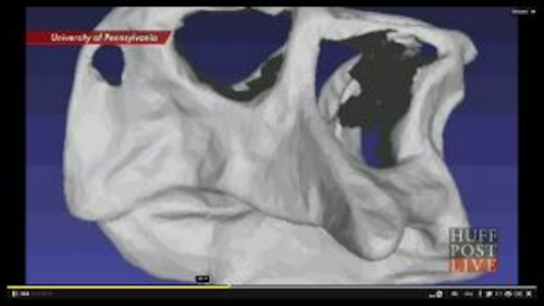Content Dam Vsd Online Articles 2013 08 Dinosaur Bones Copy