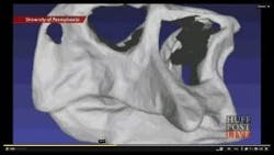 Content Dam Vsd Online Articles 2013 08 Dinosaur Bones Copy Content Dam Vsd Online Articles 2013 08 Dinosaur Bones Copy