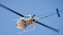 Content Dam Vsd Online Articles 2013 08 Fire Ants Content Dam Vsd Online Articles 2013 08 Fire Ants