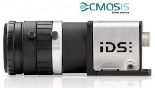 Content Dam Vsd Online Articles 2013 09 Ids2