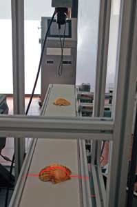 Fea1 Fig1a 1106vsd Fea1 Fig1a 1106vsd