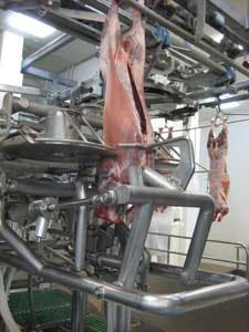 Fea1 Fig3 1107vsd Fea1 Fig3 1107vsd