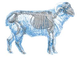 Fea1 Sheepopener 1107vsd Fea1 Sheepopener 1107vsd