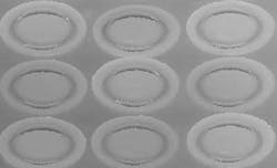 Fea2 Fig2a 1104vsd Fea2 Fig2a 1104vsd