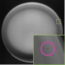 Fea2 Fig3b Fea2 Fig3b