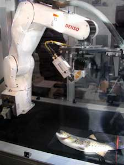 Fea3 Fig1a 1301vsd