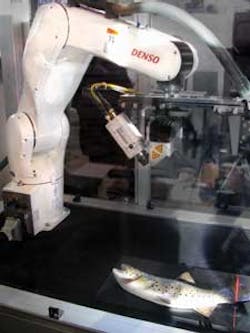 Fea3 Fig1a 1301vsd Fea3 Fig1a 1301vsd