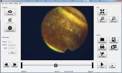 News1 Fig2 News1 Fig2