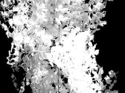 News2 Fig2 News2 Fig2