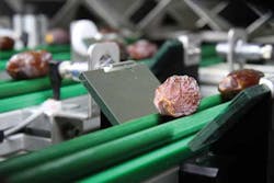 News4 Fig2 1206vsd News4 Fig2 1206vsd