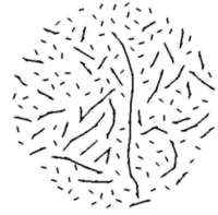 Pennwell web 200 197 Pennwell web 200 197