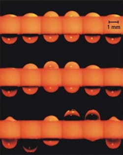 Pennwell web 320 400 Pennwell web 320 400