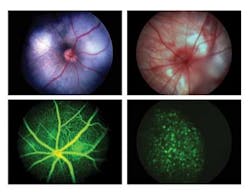 Pennwell web 400 313 Pennwell web 400 313