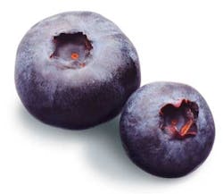 Pennwell web 400 347 Pennwell web 400 347