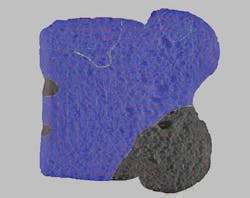 Profile Fig4 1401vsd Profile Fig4 1401vsd