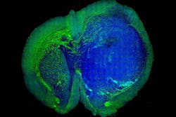 Slide05image Slide05image