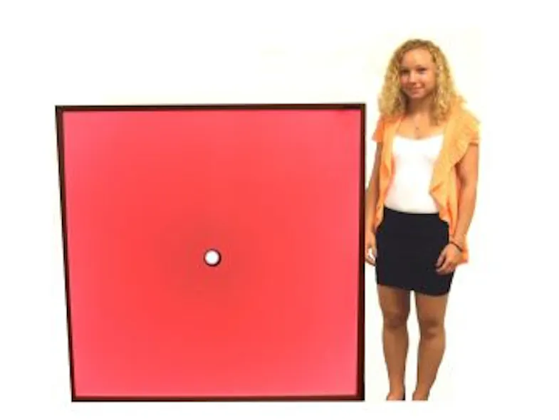 Smart Vision Lights add new models to Large Light Panel Series of ...