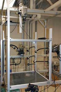 Snap1 Moths A 1206vsd Snap1 Moths A 1206vsd