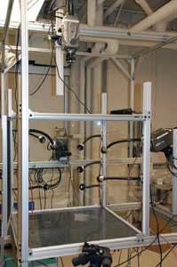 Snap1 Moths A 1206vsd Snap1 Moths A 1206vsd