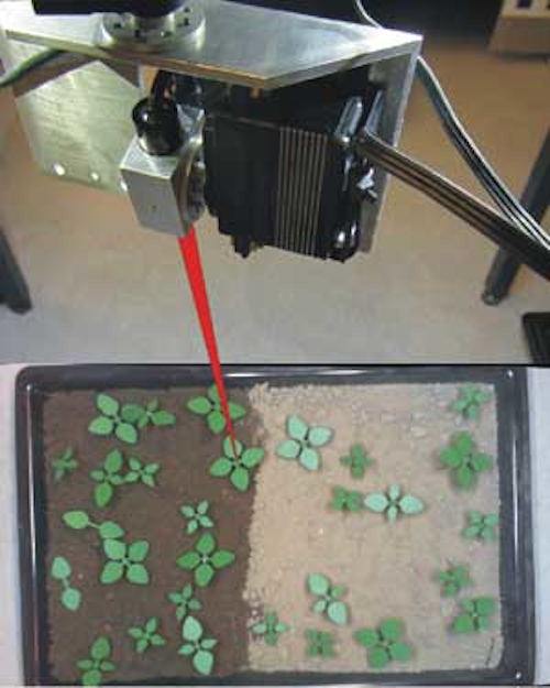 Snap1 Weeds 1205vsd