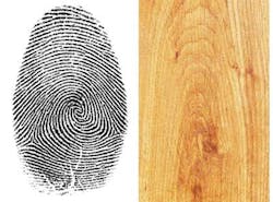 Snap2 Wood 1304vsd Snap2 Wood 1304vsd