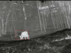 Snap Deer Inset 1212vsd Snap Deer Inset 1212vsd