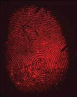 Snap Fingerprint 1202vsd Snap Fingerprint 1202vsd