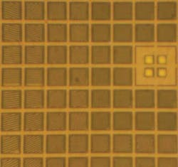 Snap Pfca2 Snap Pfca2