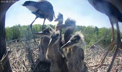 Snapshot Figure1 1406vsd Snapshot Figure1 1406vsd