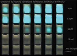 Snapshot Figure2 1404vsd Snapshot Figure2 1404vsd