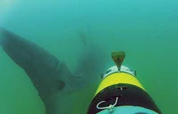 Snapshots Figure5 1309vsd Snapshots Figure5 1309vsd