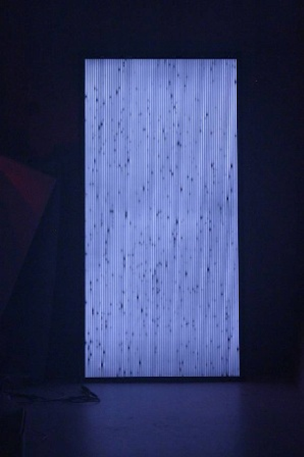 Solarf2061109