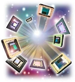 Th 0201busvis Th 0201busvis