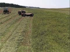 Th 0201spotlight5 Th 0201spotlight5