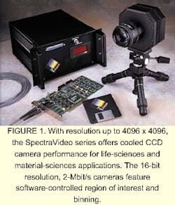 Th 0301focus1 Th 0301focus1