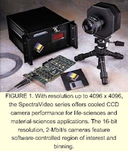 Th 0301focus1 Th 0301focus1