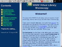 Th 0301websites1 Th 0301websites1