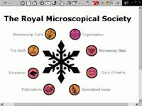 Th 0301websites3 Th 0301websites3