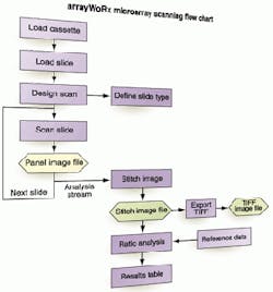 Th 0501spot3 Th 0501spot3
