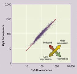 Th 0501spot4 Th 0501spot4