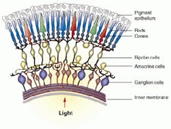 Th 0501trends3 Th 0501trends3