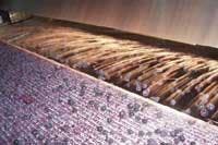 Th 0502vsdsnap2 Th 0502vsdsnap2